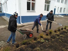 Подготовка к посадке кустарников