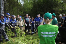 Посадка леса организована ООО "Газпром трансгаз Чайковский" и ГКУ "Чайковское лесничество"