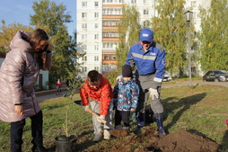 Экологическая акция «Зеленый город»